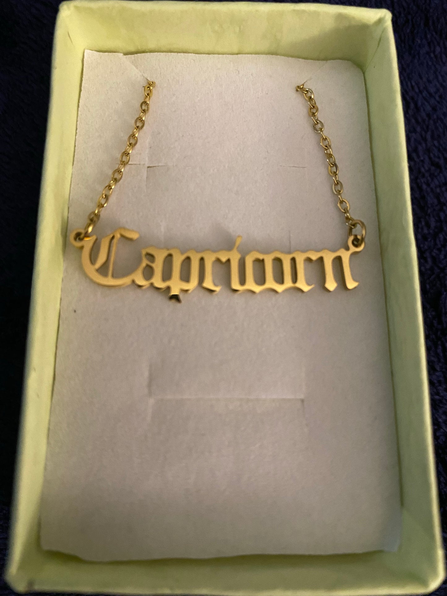 Capricorn Zodiac Necklace